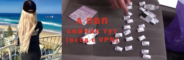 стафф Заводоуковск