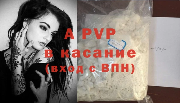стафф Заводоуковск