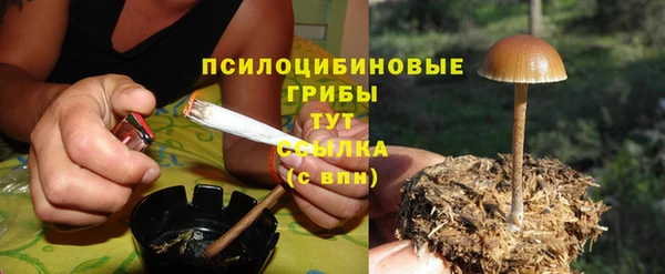 МДПВ Заволжье