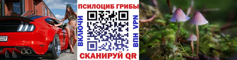 Галлюциногенные грибы Magic Shrooms  как найти   Петров Вал 